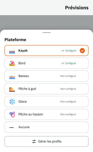 Choix de la plateforme : Kayak sélectionné ; Kayak et Bord ont un profil, Bateau, Gué, Glace et Harpon pas encore