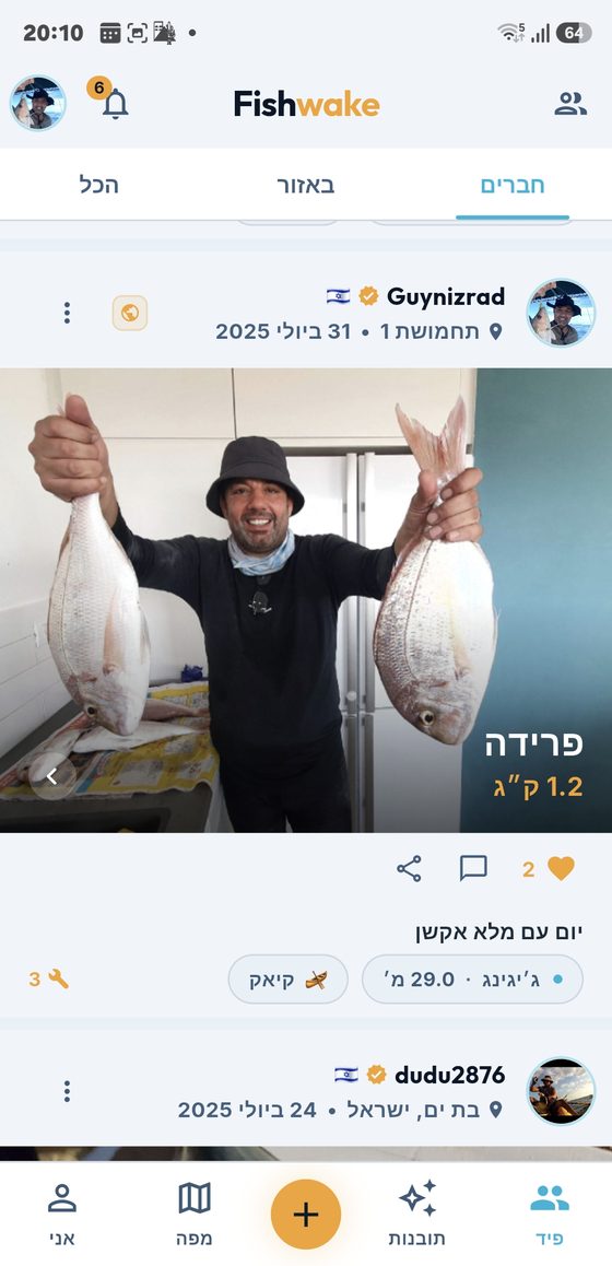 פיד התפיסות